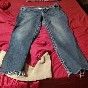 Maurices Jeans